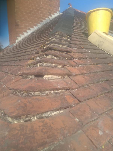 roof-repair-services